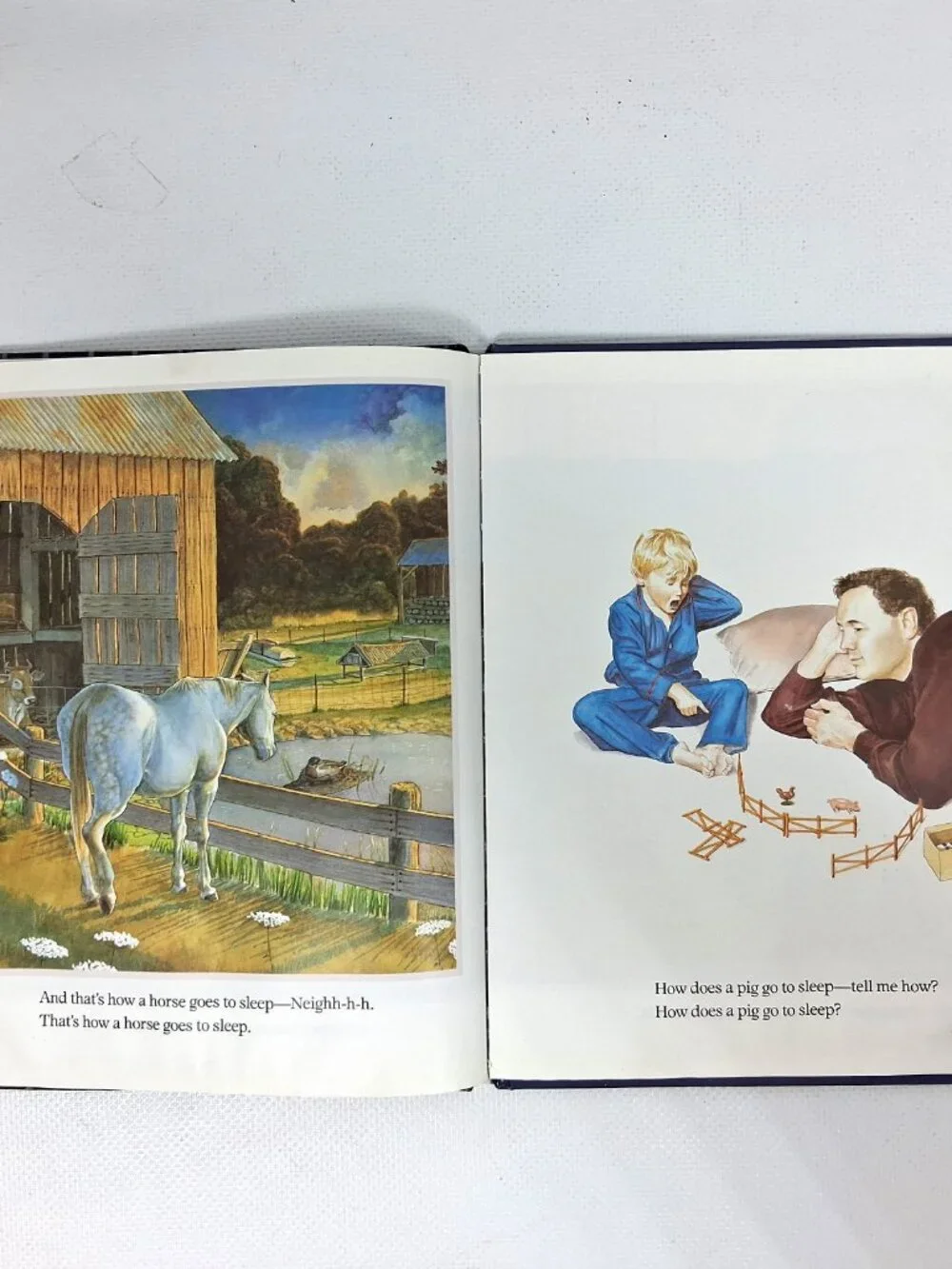 Going To Sleep On The Farm by Wendy Cheyette Lewison, Children's Book